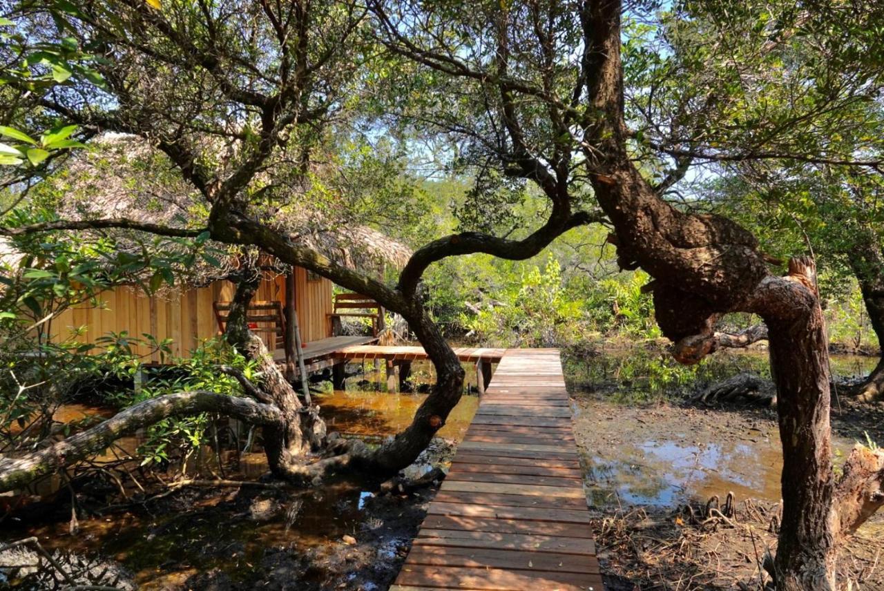 Lily'S Riverhouse Prek Svay Village Exterior photo